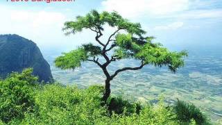 একতারা তুই দেশের কথা