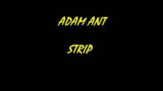 ADAM ANT - Strip