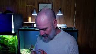Snowmageddon, Maintenance. and Mushrooms w/ Dandalf