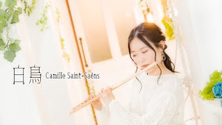 Download lagu 「白鳥」C.サン=サーンス mp3