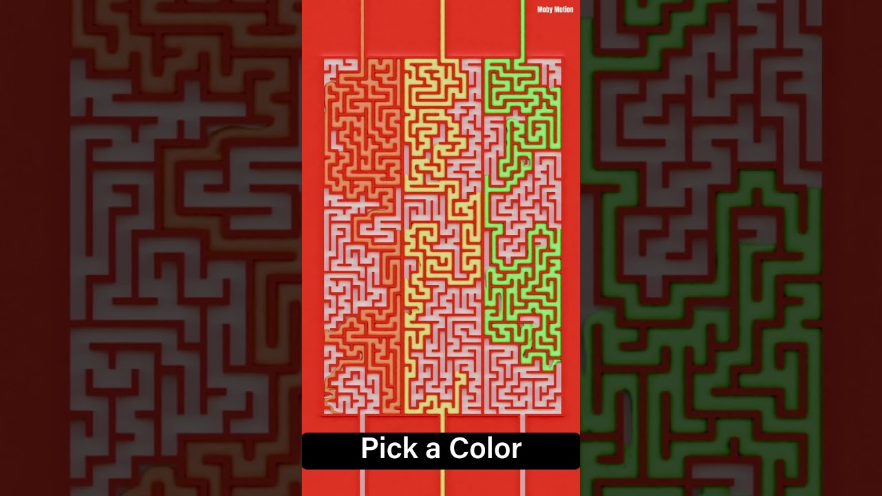 Which Color Do You Choose? 🤩 #satisfying #maze #simulation