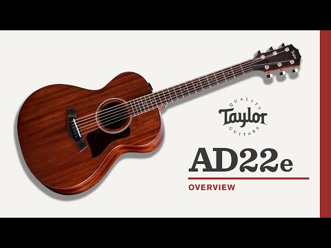 Taylor | AD22e | Overview