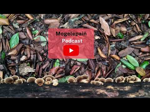 Kap 01 Rimügen  - Mogelepaiñ Podcast