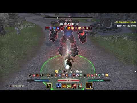 Stamina NB Dps 79K+ Dragonhold PS4 EU
