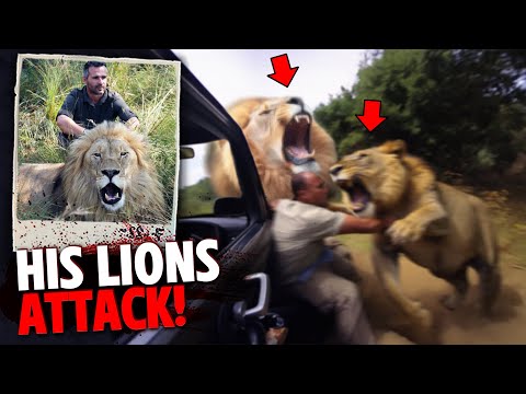 This Lion Trainer Was FATALLY MAULED By His 3 Lions!