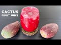 How To Make Prickly Pear Cactus Fruit Juice By Nisha B Recipes