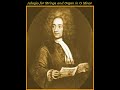 Albinoni - Adagio in G Minor for Strings and Organ (Mi 26)