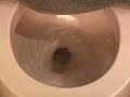 American Standard Cadet Toilet Regular Flush Front