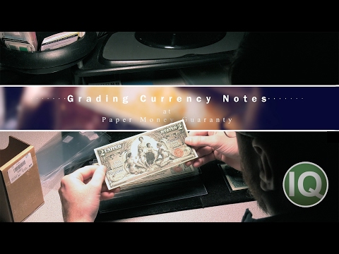 CoinWeek IQ: Grading Currency Notes on Location at PMG - 4K Video