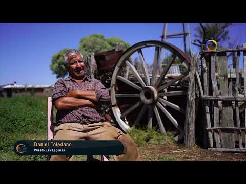 Estancias y Tradiciones 175 / Puesto Las Lagunas.