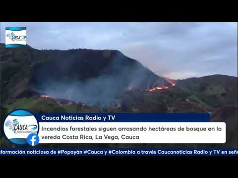 Incendios forestales siguen arrasando hectáreas de bosque en la vereda Costa Rica, La Vega, Cauca