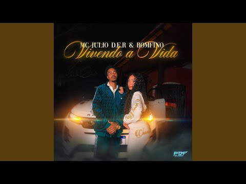 Vivendo a Vida