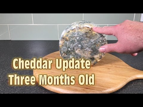 download lagu mp3 mp4 Mature Hard Cheese, download lagu Mature Hard Cheese gratis, unduh video klip Mature Hard Cheese