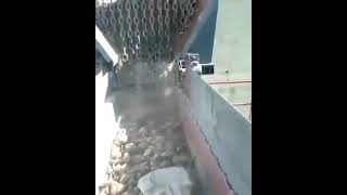 Venta de Kensan WOBBLER WB alimentador vibratorio - Imagen 7 | Machineryline MX Kensan WOBBLER WB alimentador vibratorio nueva | Imagen 7 - Machineryline