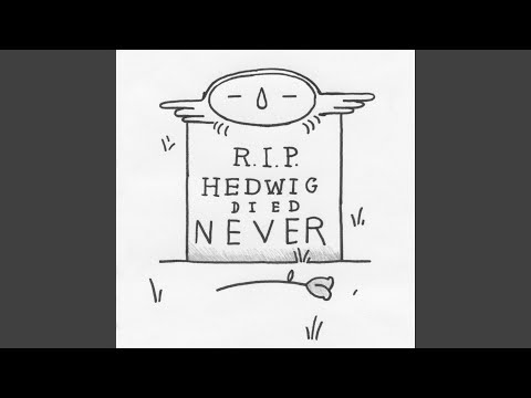 Video thumbnail for The Great Motorcycle Crash of ’97