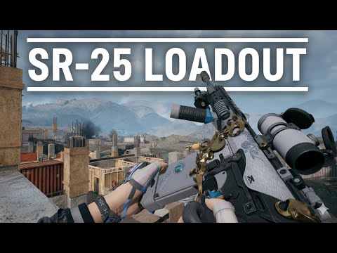 SR-25 BUFF IS UNREAL! TWO-SHOT KILL IS THE NEW META - DELTA FORCE SEASON 6 PC|MOBILE