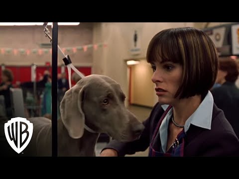 Best in Show | Get The Busy Bee | Warner Bros. Entertainment