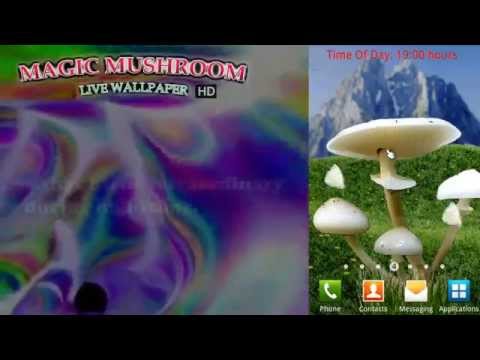 Magic Mushrooms LWP HD Video