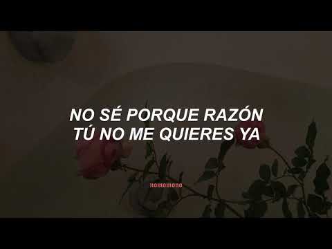 Selena -Tus Desprecios (letra)