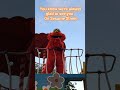 Sesame Street Party Parade Murray
