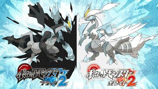 BW2縛りタイプ・ROM決定枠