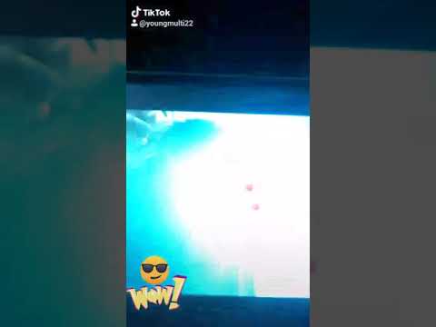 Oto jak Multi zrobił dredy subskrybuj mój kanał i krurzwila i Multiego