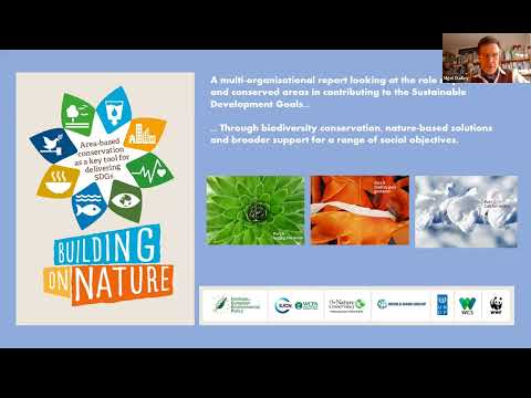Vital Sites: Understanding the role of protected areas as Nature-based Solutions - Part I