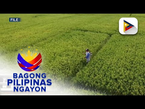 Panayam kay DA Usec. Asis Perez kaugnay 4-year agricultural plan ng pamahalaan