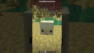 iJevin's recent Youtube video thumbnail