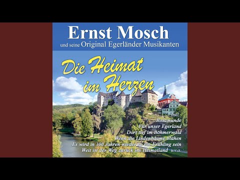 Liebe kleine Schaffnerin