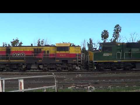 48s35+48s28+4911+C506+1201=Werris Creek