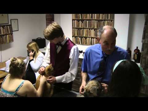 Documentary Storyboard