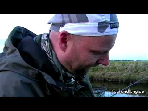 Matze Koch: A premature attempt at eel? - Matze's Antics 03-2013