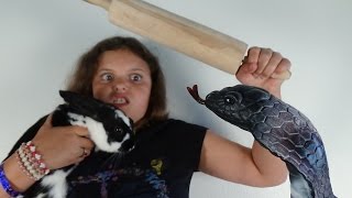 Cobra Snake Attacks Bunny Rabbit "Spatula Girl Saves The Day" Victoria Annabelle