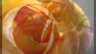 DETRAS DEL HORIZONTE.wmv  ROBERTO CARLOS