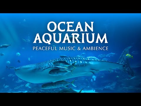 ???? Ocean Aquarium | Underwater Ambience with Peaceful Music for Study, Sleep, and Relaxing