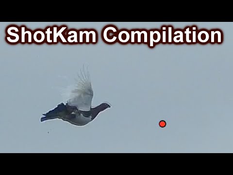 ShotKam compilation 2017-2018