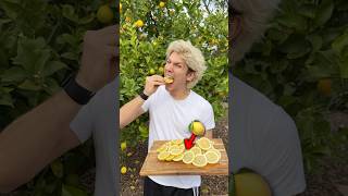 Download lagu Lemon Prank 🍋 mp3 Download lagu Lemon Prank 🍋 mp3