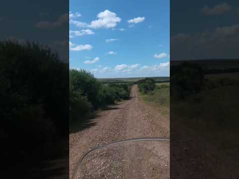 Camino entre el pueblo Las Flores y Río Arapey Chico , con vertedero incluido , dpto. Salto 🇺🇾 .