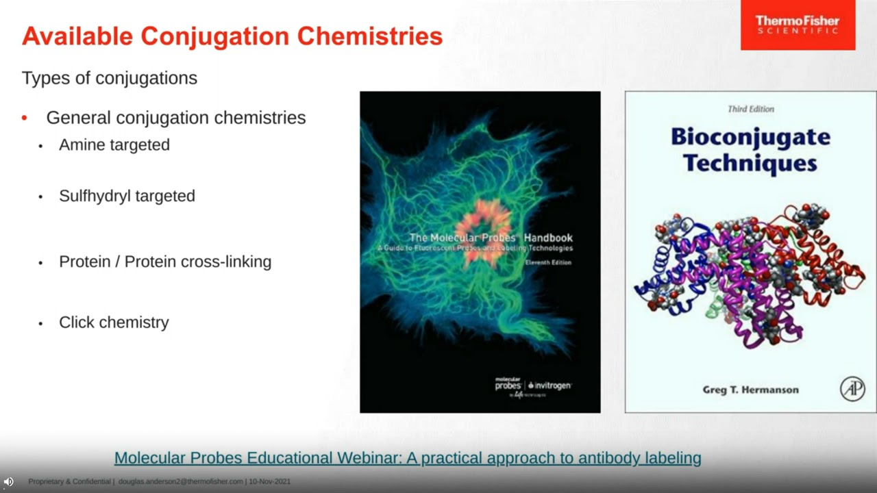 Latest technologies in antibody and protein labeling