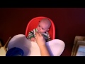James First Food