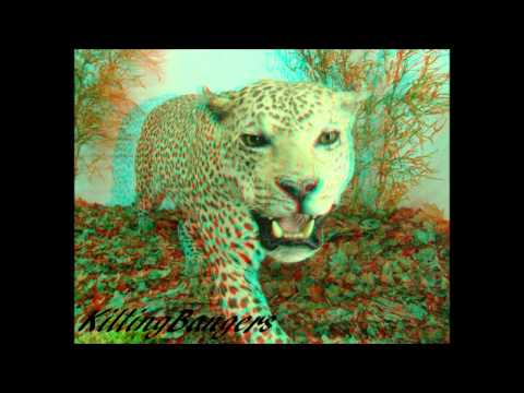 STEREOTISTIK- ROCK THE HOUSE (Original Mix)