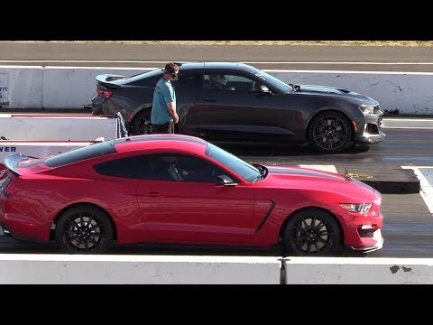 2018 ZL1 vs Shelby GT350 ,Stock vs Stock ,Street tires ,1/4 mile drag race