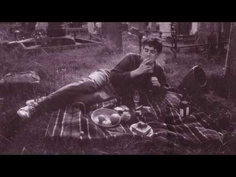 John Peel's Datblygu - Babbanod Beichiog Nawr