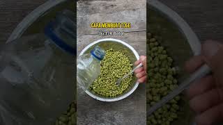 Download lagu cara membuat toge, menggunakan media botol bekas #trending  #subscribe #short #shorts mp3