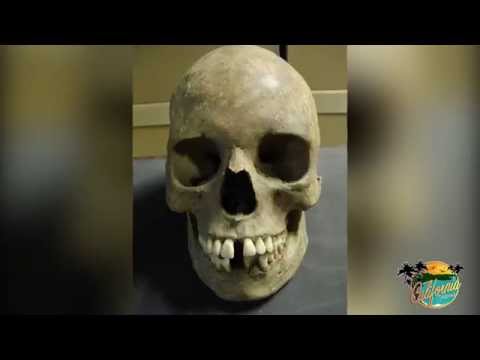 Click to Watch the Science learns the plague is older, more important than previously believed video Click to Watch the Science learns the plague is older, more important than previously believed video