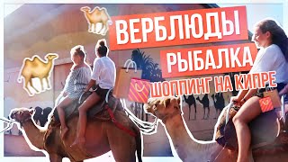 Лучшее место для рыбалки и отдыха на кипре