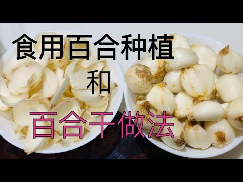 百合