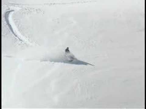 Darren Berrecloth Sled Footage