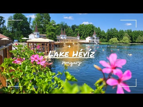 Lake Hévíz, a unique lake, where you can swim all year long / 4K / ASMR